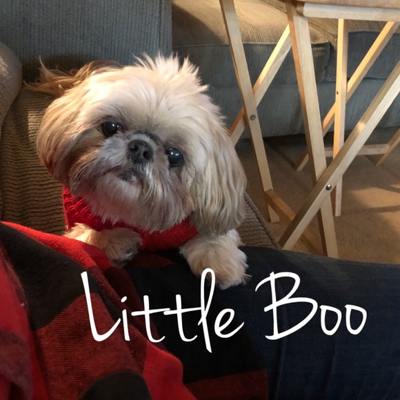 Meet your Posher, Kristin - Picture 2 of 7